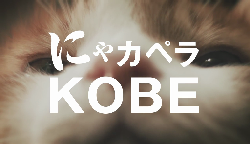 猫が歌う！ にゃカペラKOBE